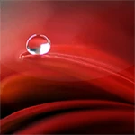 drops live wallpaper android application logo